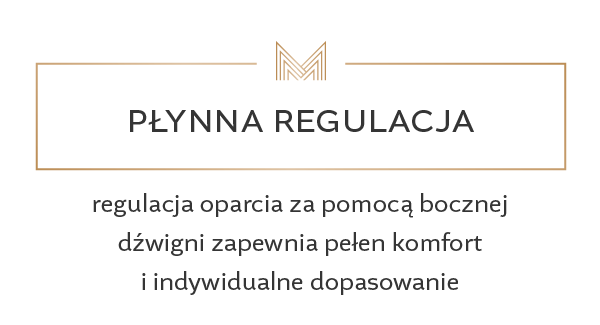 Elektryczny luksusowy fotel kosmetyczny